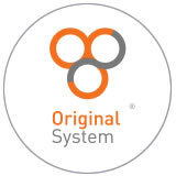 Original System